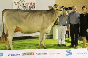 151128SC15 054_Abt 2 Rang 1 Blooming Binja Martin Reichmuth Rothenthurm